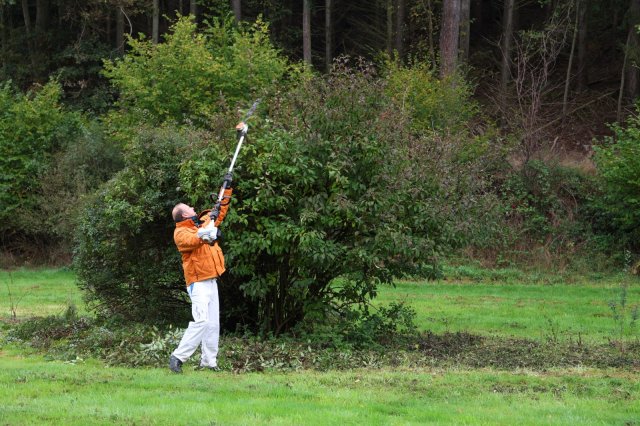 img_7654 bild galerie oberauroff